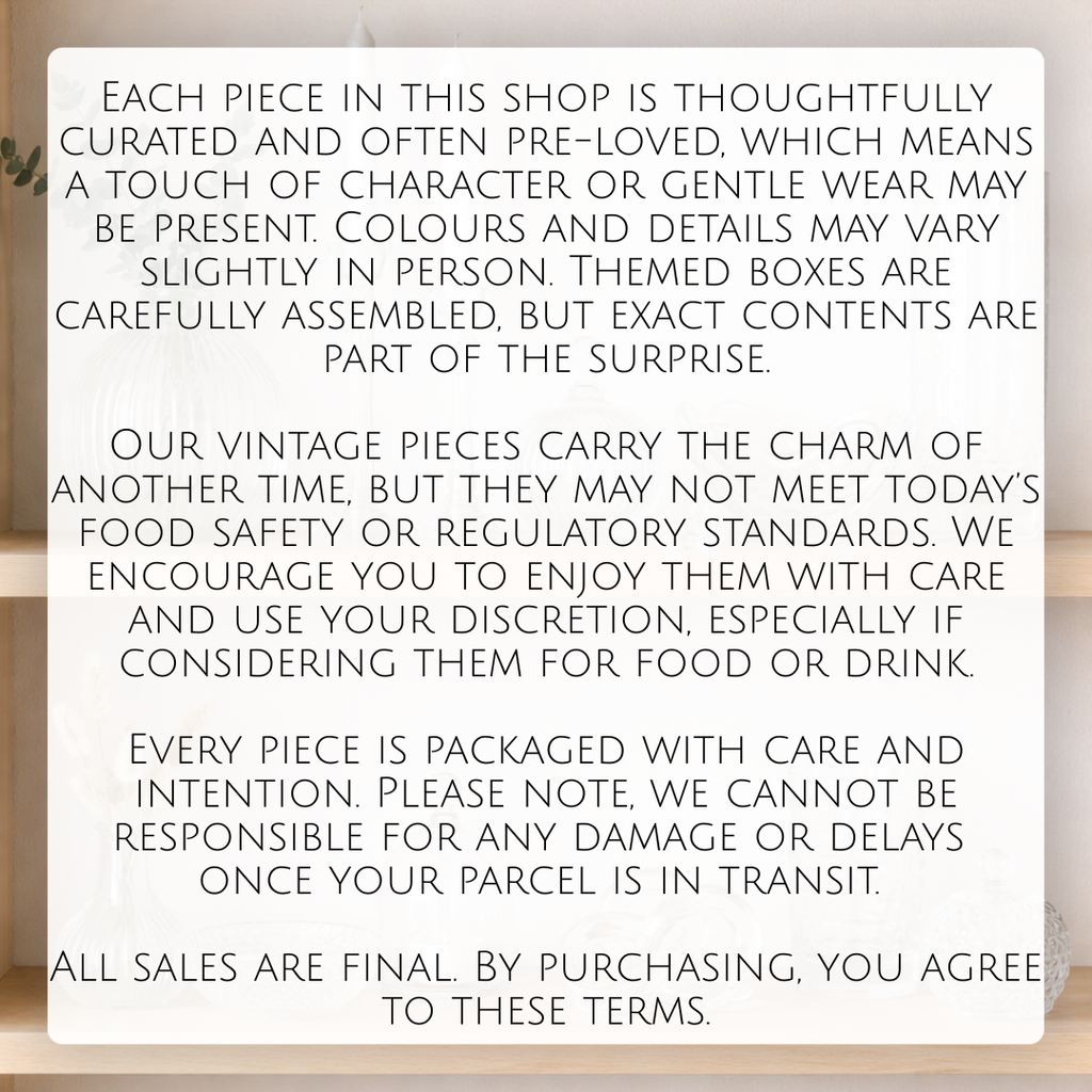 The Glass Box - Curated Thrifted Mystery Box