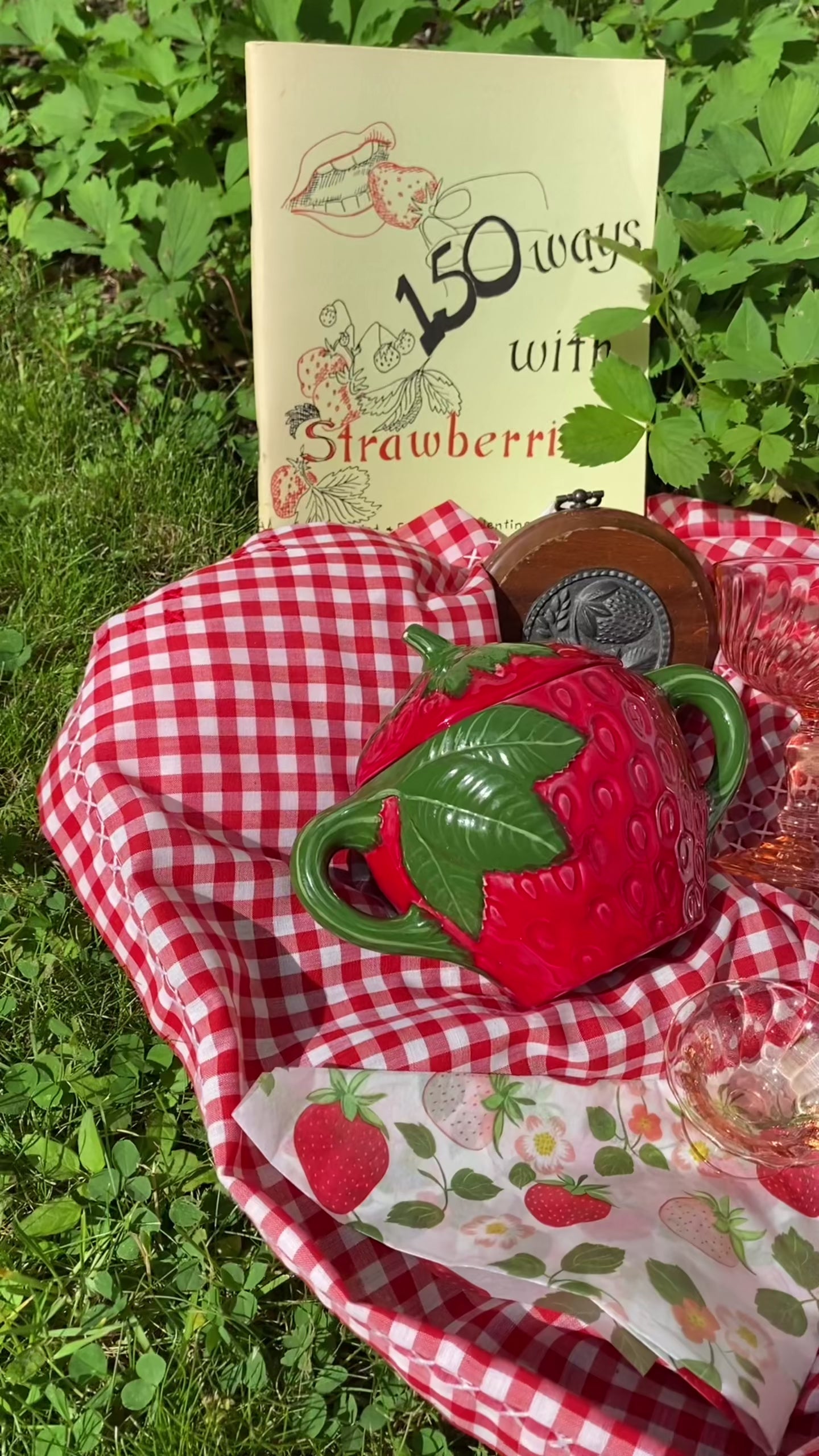 150 Ways with Strawberries Recipe Booklet (1970’s)
